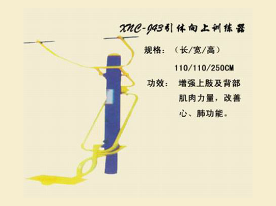 J43引體向上訓(xùn)練器