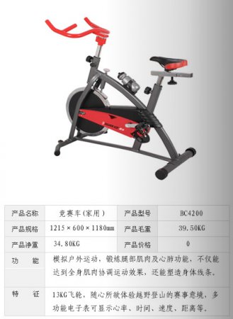 競(jìng)賽車（家用）